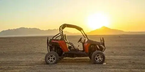 Safari
